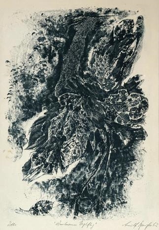 Bild von Objekt 422
