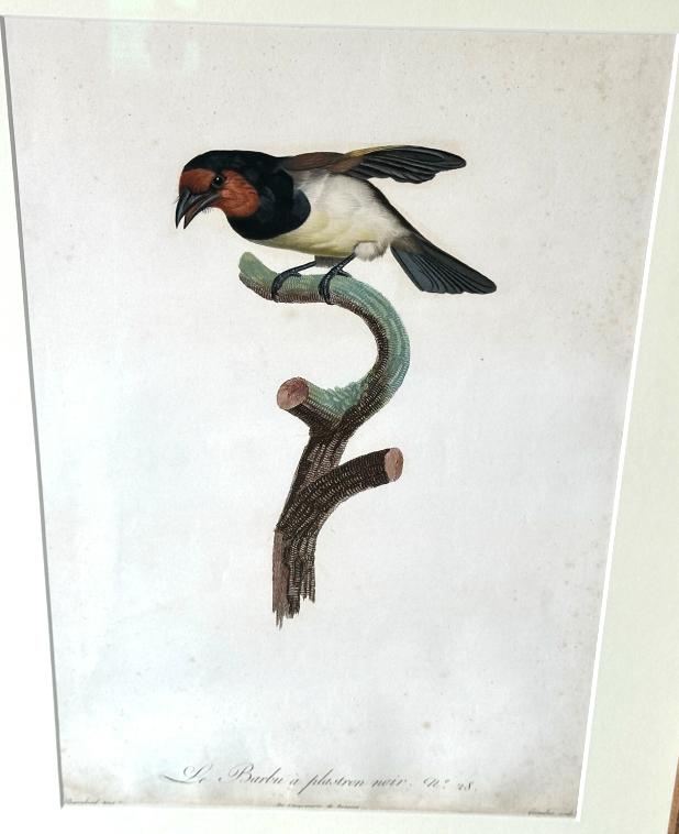 Bild von Objekt 530