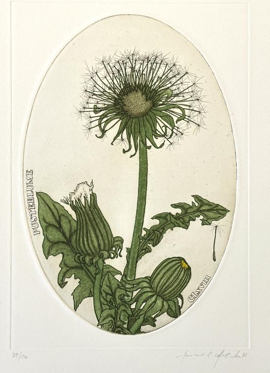 Bild von Objekt 533