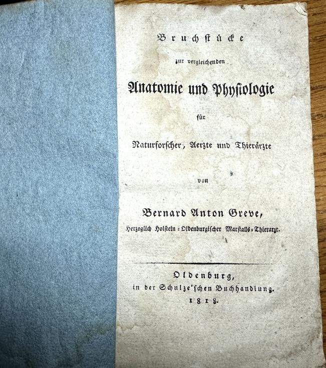Bild von Objekt 79